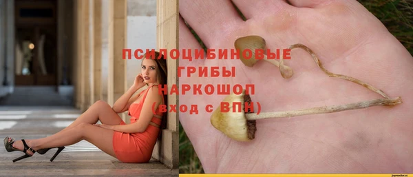 Альфа ПВП Покров